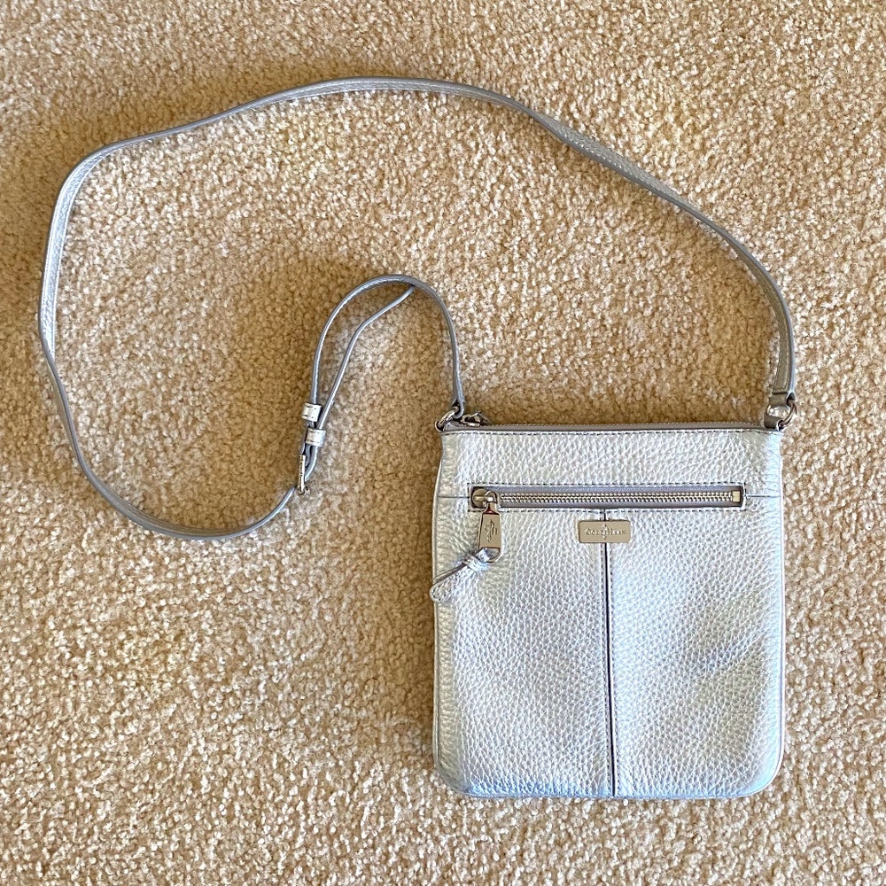 Crossbody Metallic Silver Purse